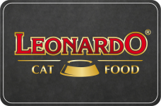 Leonardo Logo
