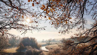 Arbeiten im Münsterland - Greven Emsauen